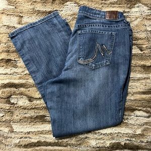 Maurice’s Jeans • Size: 18W • Length: Short
